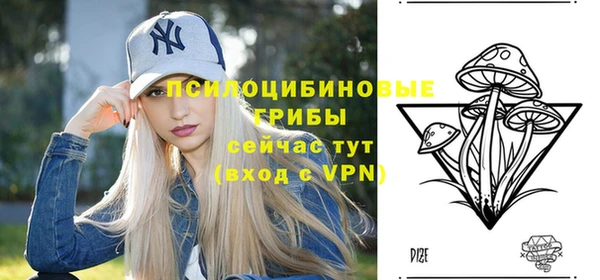 mdpv Арсеньев