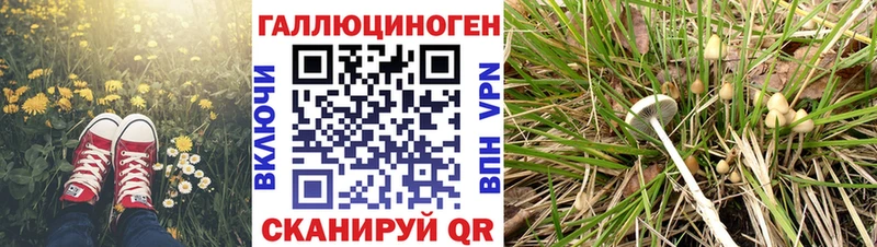 Псилоцибиновые грибы Psilocybine cubensis  цена   Первомайск 